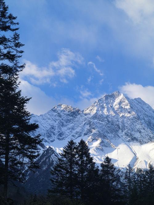 阿里云服务器突发故障？别慌！这份“自救指南”让你秒变运维大神