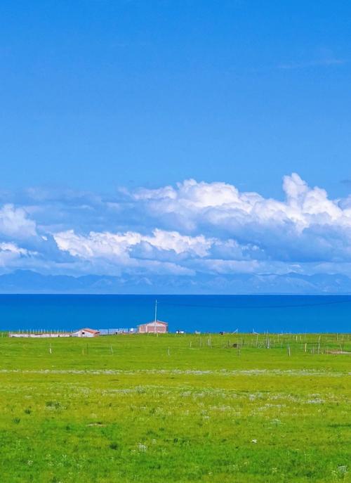 预算有限也能玩转高性能！这些服务器主板性价比之王，你选对了吗？